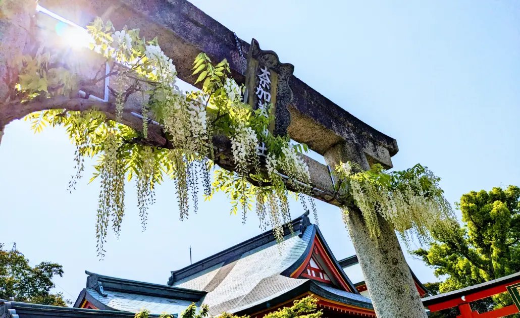 🌸 나카미 신사(奈加美神社) 이미지 7